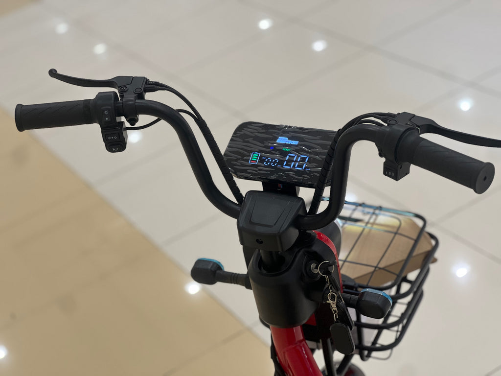 Rohan Wings KLL4 Delivery Scooter